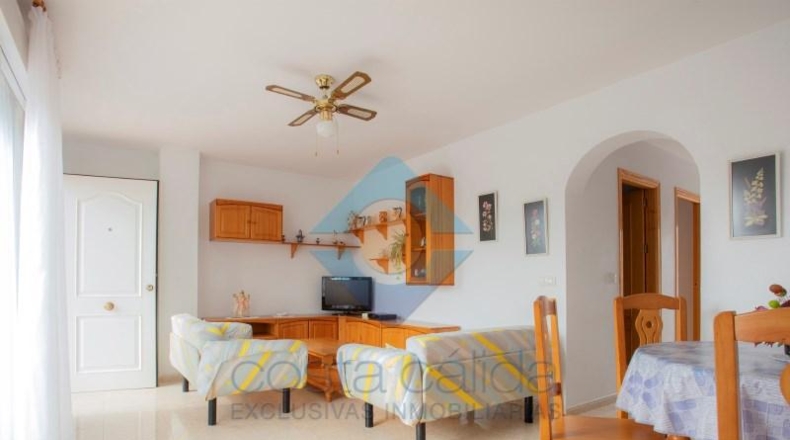 Murcia - Mazarrón - 572m2
