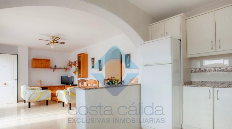 Murcia - Mazarrón - 572m2