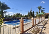 Xalet independent amb terreny en venda a la España, Crevillent, ref.: TR348436 foto