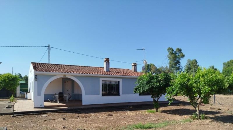 Badajoz - Guareña - 25000m2