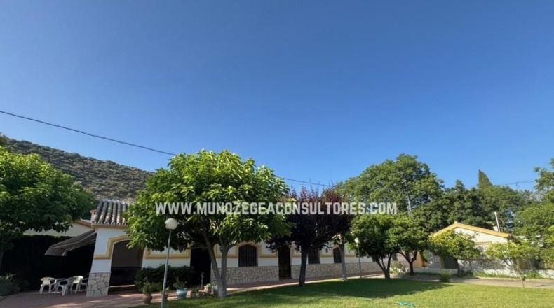 Córdoba - Lucena - 1885m2