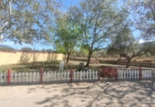 Chalet independiente con terreno en venta en la España, Ibi, ref: TR267848 foto