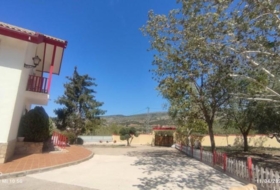 Foto 7