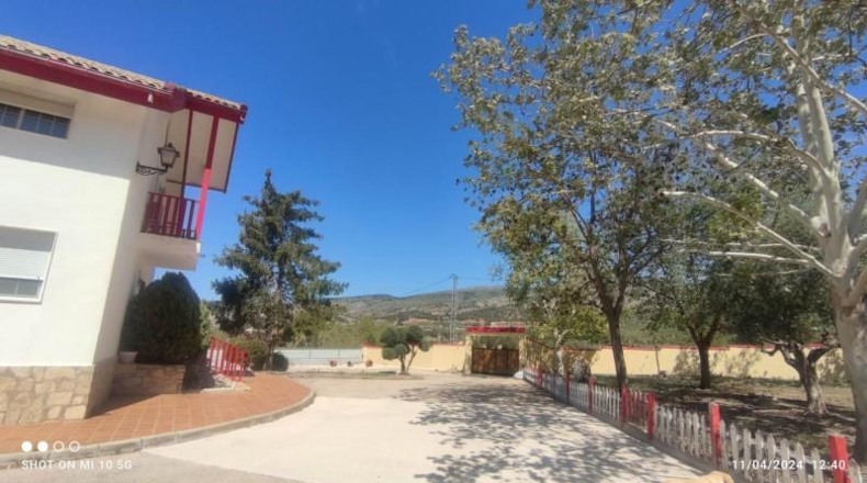 Alicante - Ibi - 8500m2