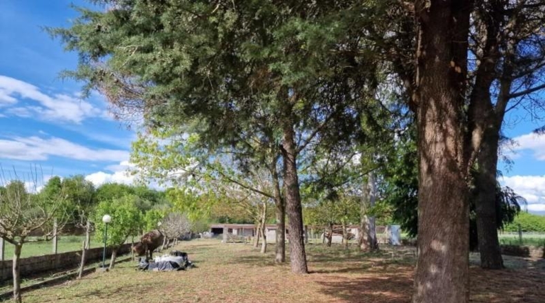 Orense - Sandiás - 2500m2