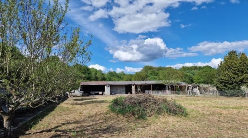 Orense - Sandiás - 2500m2