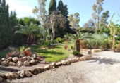 Chalet independiente con terreno en venta en la España, la Ràpita, ref: TR287212 foto