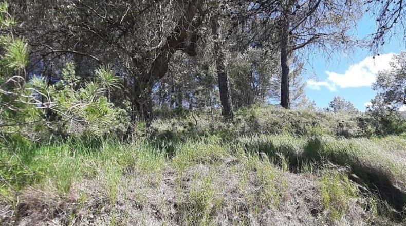 Alicante - Planes - 378378m2