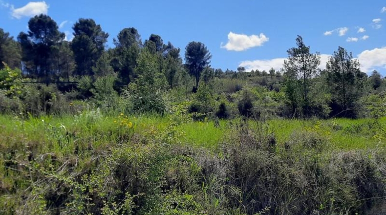 Alicante - Planes - 378378m2