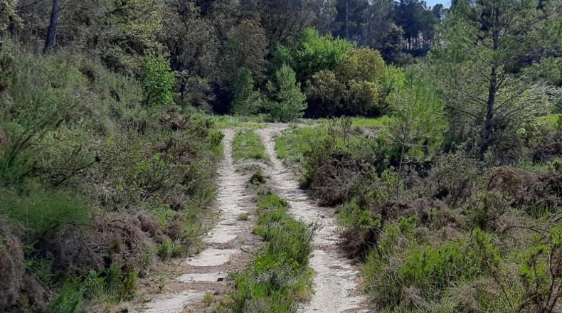 Alicante - Planes - 378378m2