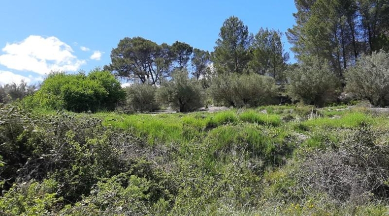 Alicante - Planes - 378378m2
