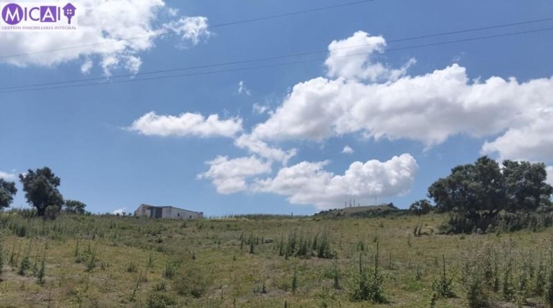 Cadiz - Medina Sidonia - 74900m2
