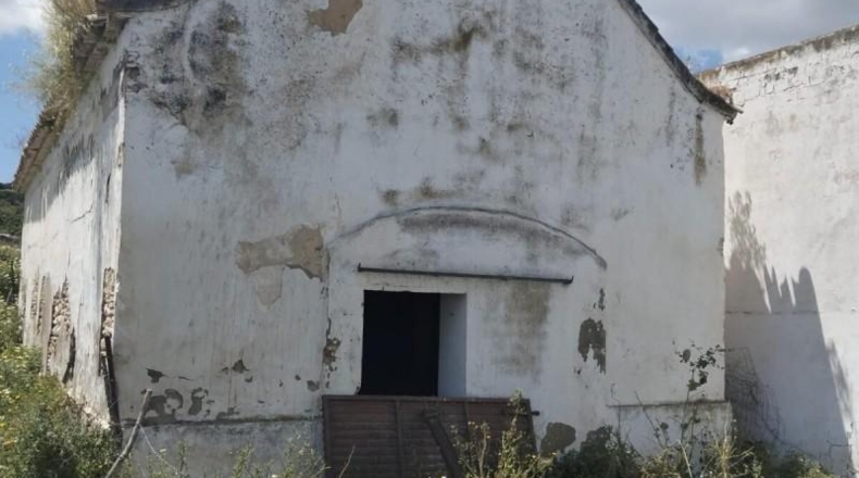 Cadiz - Medina Sidonia - 74900m2