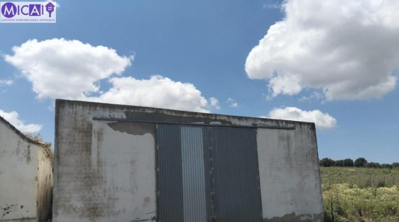 Cadiz - Medina Sidonia - 74900m2