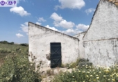 Country house with land for sale on España, Medina Sidonia, ref: TR281834 photo