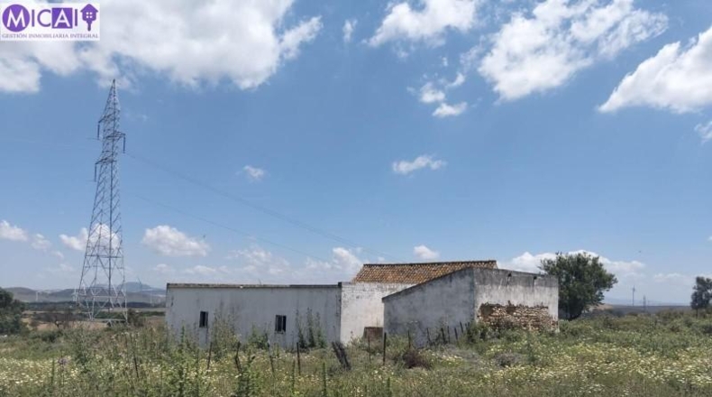 Cadiz - Medina Sidonia - 74900m2