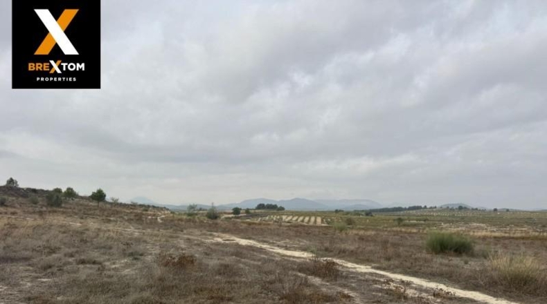Murcia - Бульяс - 46000m2