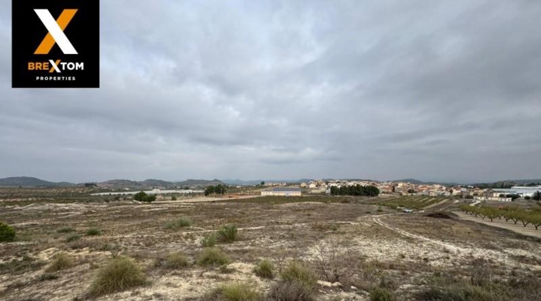 Murcia - Бульяс - 46000m2