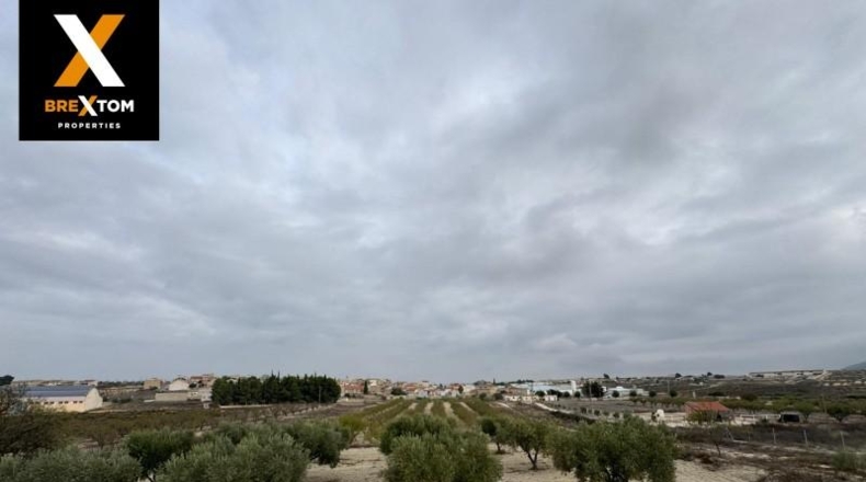 Murcia - Бульяс - 46000m2