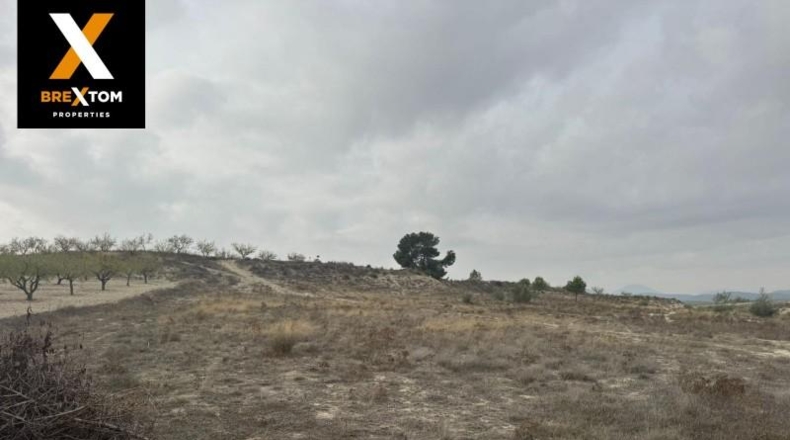 Murcia - Бульяс - 46000m2