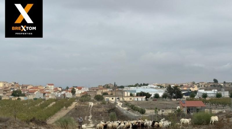 Murcia - Бульяс - 46000m2