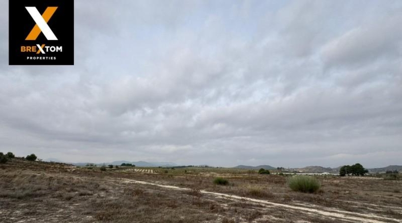 Murcia - Бульяс - 46000m2
