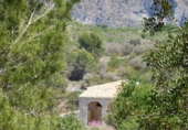 Xalet independent amb terreny en venda a la España, Tàrbena, ref.: TR367172 foto