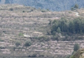 Xalet independent amb terreny en venda a la España, Tàrbena, ref.: TR367172 foto