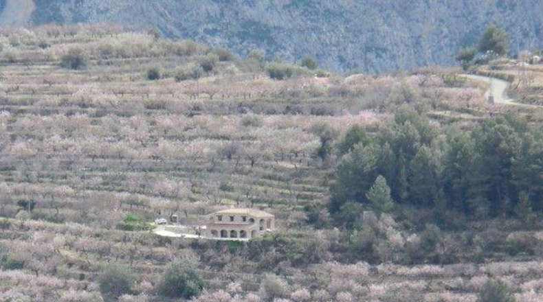 Alicante - Ibi - 5731m2