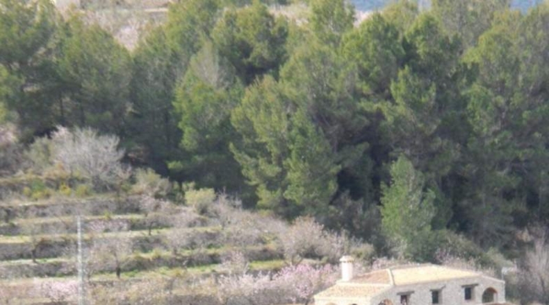 Alicante - Ibi - 5731m2