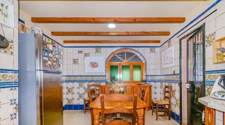 Granada - Cúllar Vega - 270m2