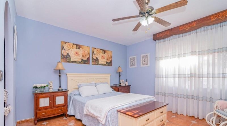 Granada - Cúllar Vega - 270m2