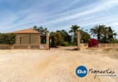 Xalet independent amb terreny en venda a la España, Elx, ref.: TR145020 foto