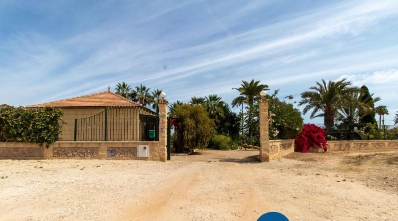 Alicante - Elche - 2600m2