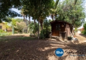 Xalet independent amb terreny en venda a la España, Elx, ref.: TR145020 foto