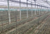 Terreny no urbanitzable en venda a la España, Sanlúcar de Barrameda, ref.: TR118894 foto