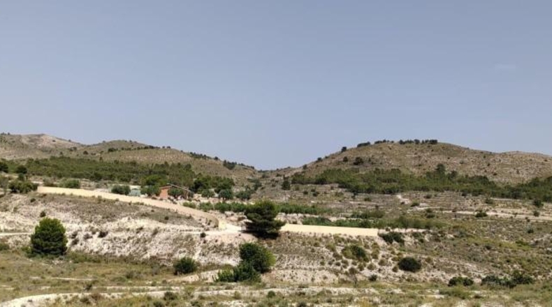 Alicante - Agost - 1200m2