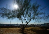 Land suitable for development for sale on España, Tomares, ref: TR120607 photo