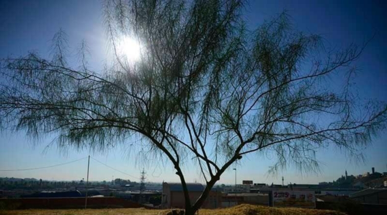 Seville - Tomares - 2000m2