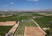 Non-developable land for sale on España, Orihuela, ref: TR358399 photo