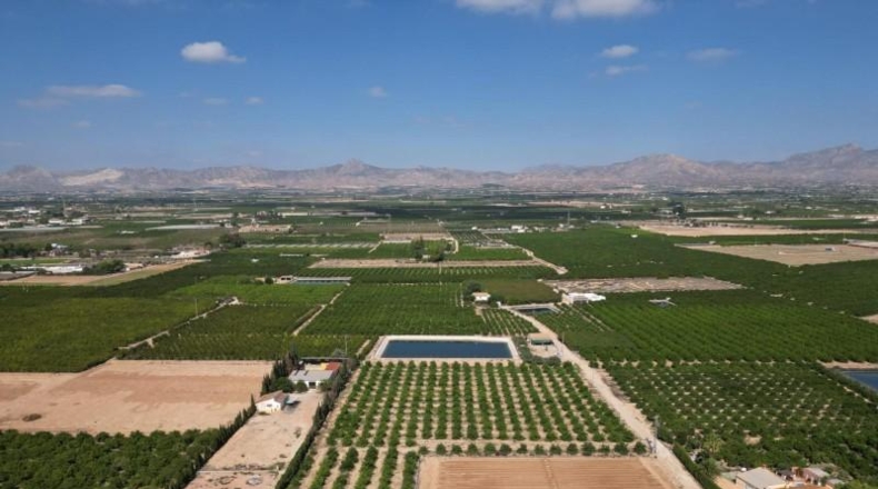 Alicante - Orihuela - 52422m2