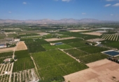 Non-developable land for sale on España, Orihuela, ref: TR358399 photo