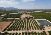 Non-developable land for sale on España, Orihuela, ref: TR358399 photo