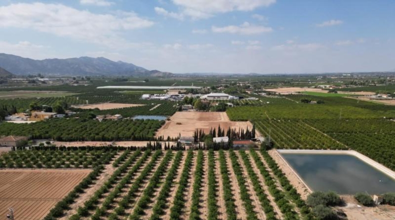 Alicante - Orihuela - 52422m2