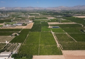 Non-developable land for sale on España, Orihuela, ref: TR358399 photo