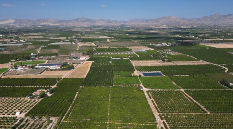 Alicante - Orihuela - 52422m2
