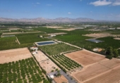 Non-developable land for sale on España, Orihuela, ref: TR358399 photo