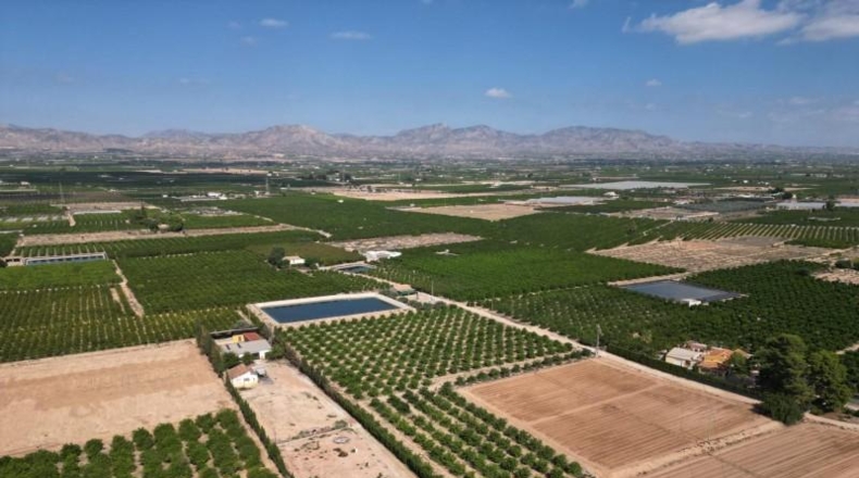 Alicante - Orihuela - 52422m2