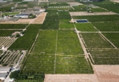 Non-developable land for sale on España, Orihuela, ref: TR358399 photo