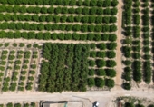 Non-developable land for sale on España, Orihuela, ref: TR358399 photo